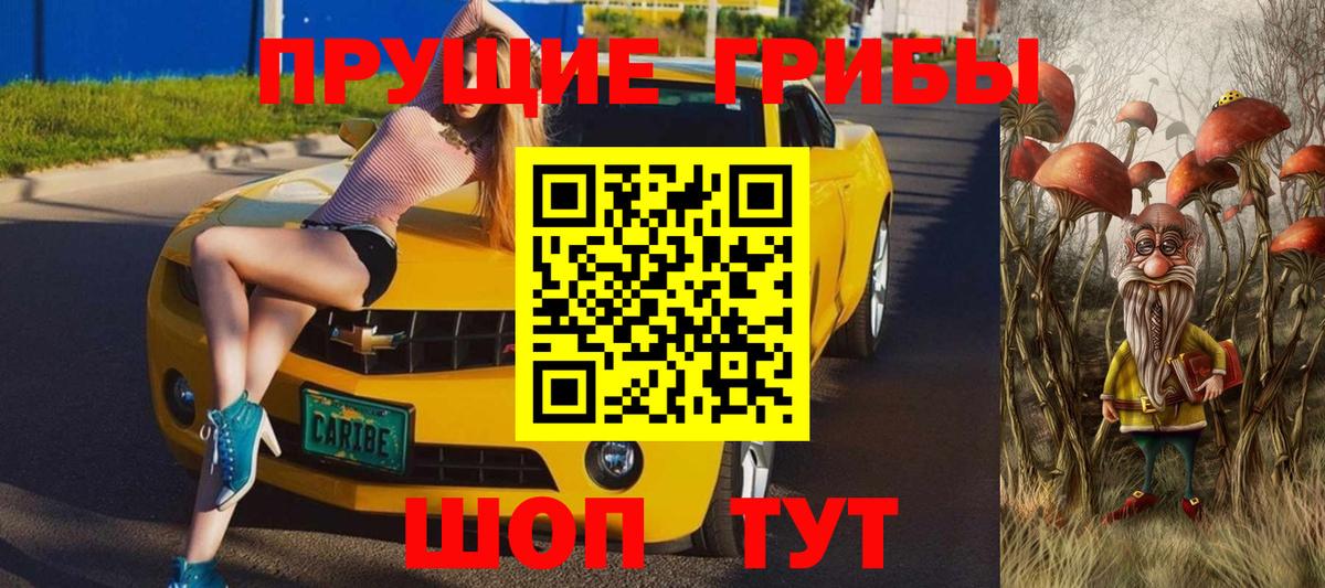 Псилоцибиновые грибы прущие грибы  Вход с VPN  Псилоцибиновые грибы прущие грибы  Киров 