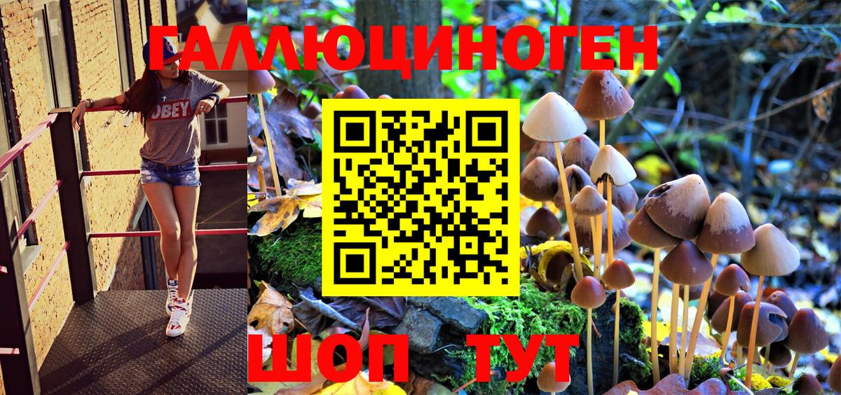 Псилоцибиновые грибы GOLDEN TEACHER Киров